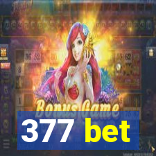 377 bet